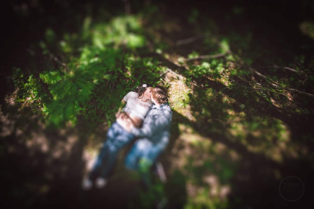 A photograph from the trees looking down on parents-to-be.