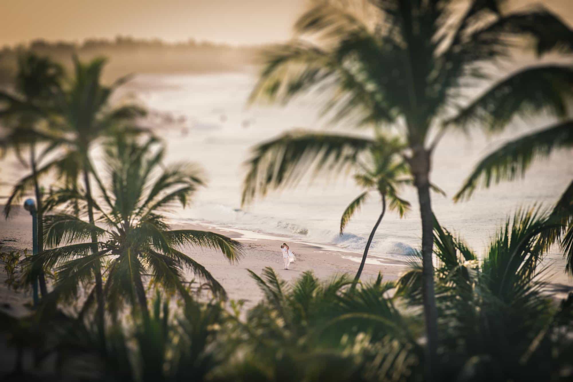 In a long telephoto picture focued between the palm trees a bride is lifted in the air by the groom as they dance on a Dominican beach.