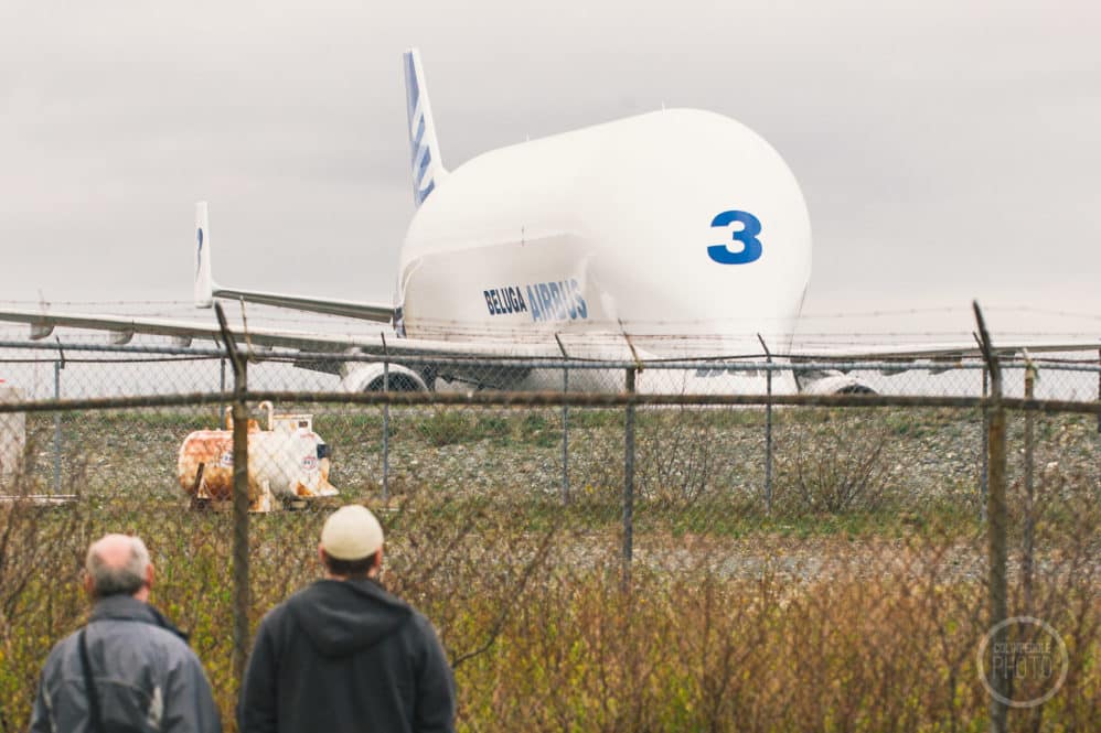 The Beluga large transport plane parked at St. John's International