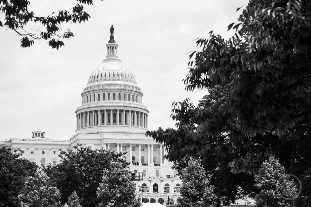 Washington D.C, USA - The Capitol Building