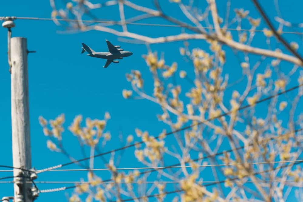 RAF flight takes off between the trees.