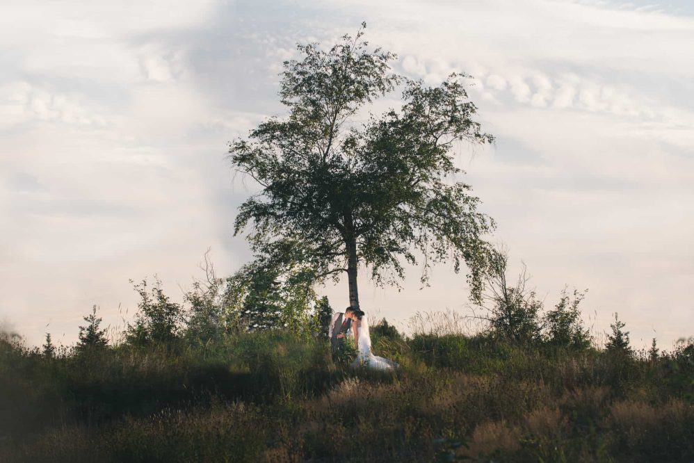 A bride and groom kiss under the tree as the sun sets behind them.