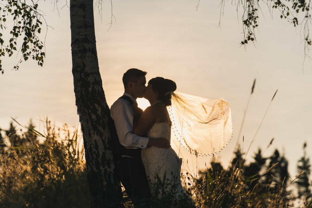 The bride and groom kiss under a large maple tree as the sun sets behind.