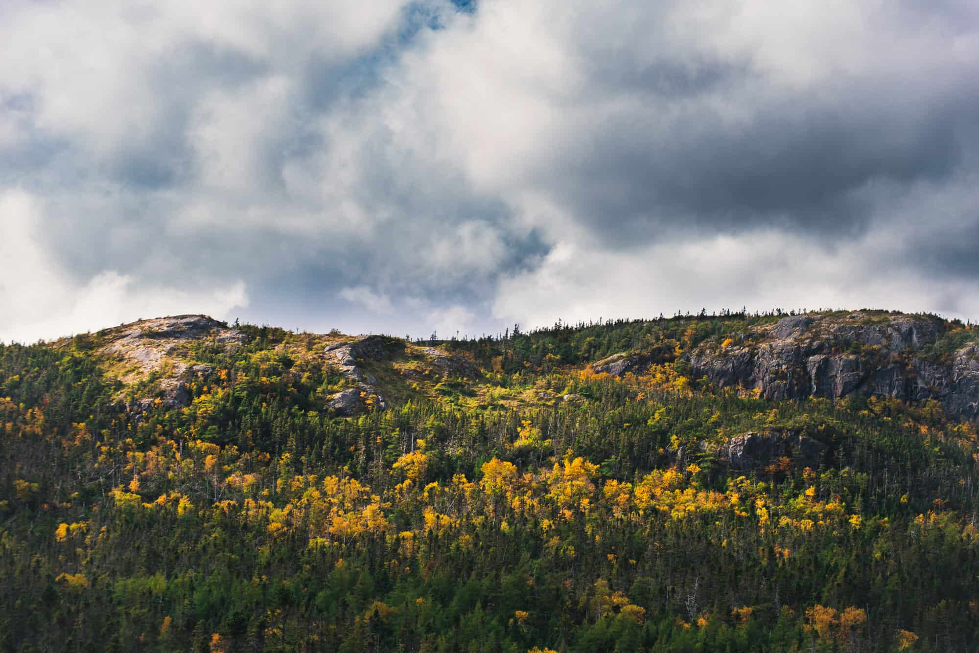 I think Buddy Wasisname and the Other Fellers sum it up perfectly with the lyrics from their song, The Hillside in September I have seen the sunrise off the banks of Newfoundland Walked across the beaches of her brown and purple sand Sat and watched the maple turning scarlet in the sun On the hillside in September. Every autumn when we’re lucky enough to be treated to fall colour as lovely as this I can’t help but hear that song, a constant but dulcet ear-worm. Shot near Holyrood on Newfoundland’s Avalon Peninsular.