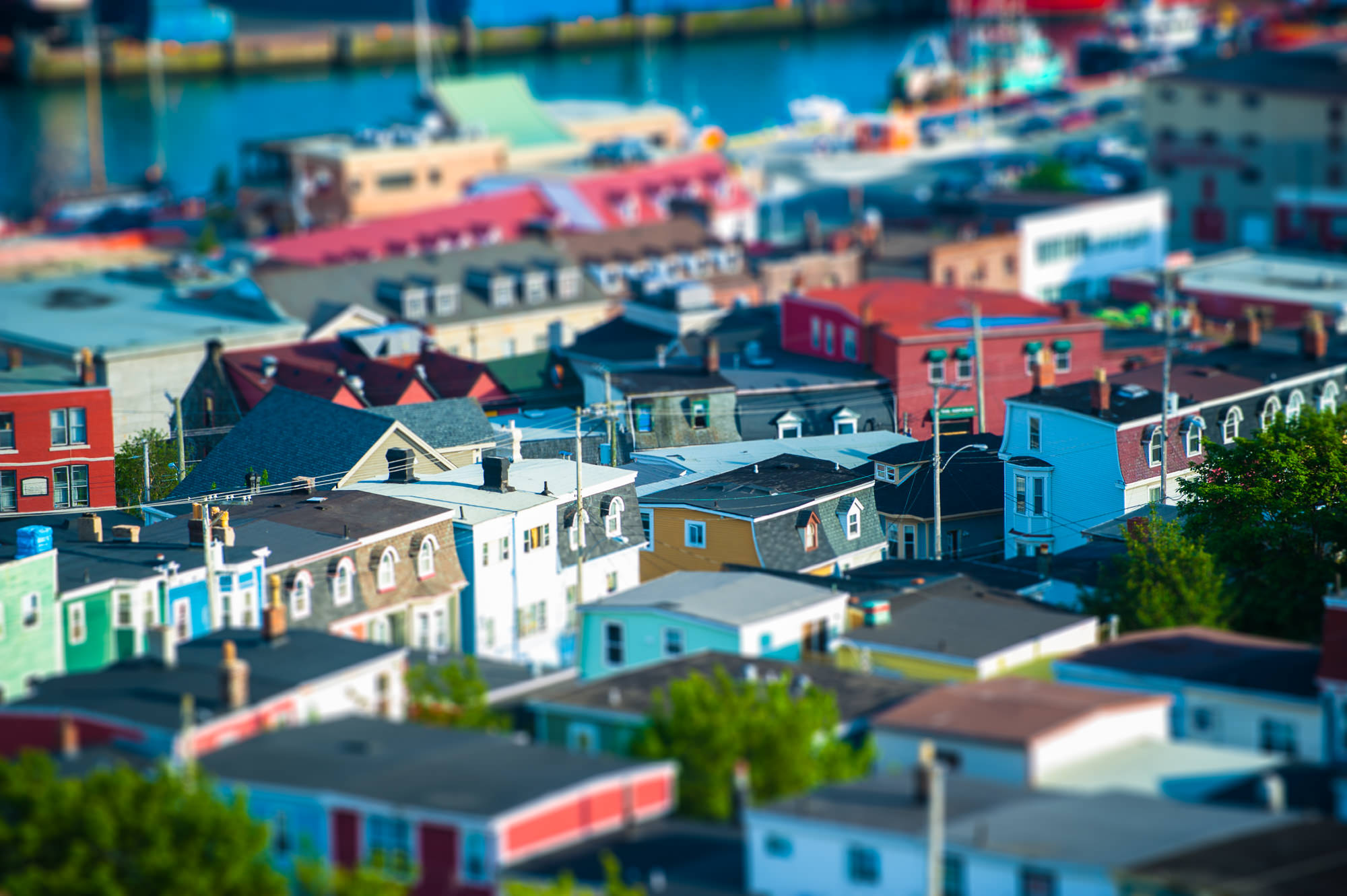 Nothing says St. John's like little colorful houses dotting the streets.